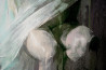 Jonas Kunickas tapytas paveikslas JK22-1004 Quietly, Aktas , paveikslai internetu