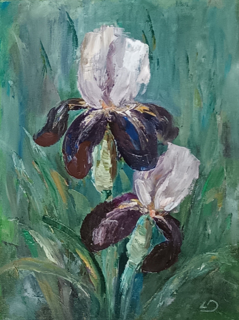 Iris original painting by Lidija Dailidėnienė. Flowers