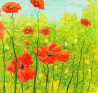 Poppies. Maisiejūnai original painting by Petras Kardokas. Paintings With Poppies