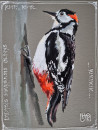 Great Spotted Woodpecker original painting by Rasa Tamošiūnienė. Miniature
