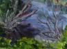 Birutė Ašmonienė tapytas paveikslas Pelkėje, Peizažai , paveikslai internetu