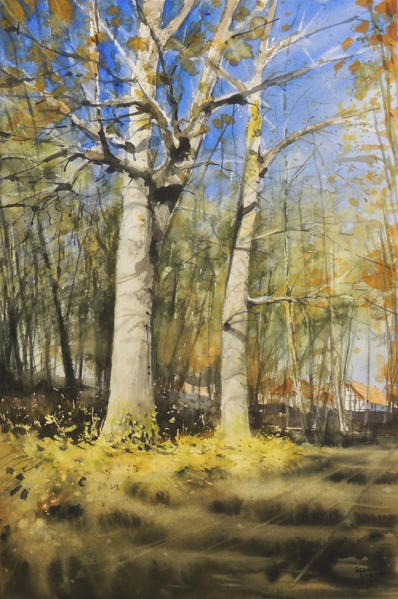 Autumn original painting by Sergiy Lysyy. Landscapes