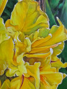 Irise original painting by Sigita Paulauskienė. Flowers