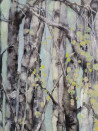Birch Grove original painting by Inesa Škeliova. Flowers