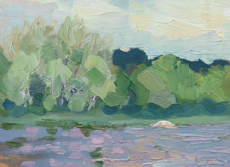 Tomas Stanaitis tapytas paveikslas Upės peizažas, Peizažai , paveikslai internetu