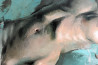 Jonas Kunickas tapytas paveikslas JK22-1227 Jūržolės, Aktas , paveikslai internetu