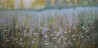 Danutė Virbickienė tapytas paveikslas Šiltas rytas, Gėlės , paveikslai internetu