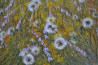 Danutė Virbickienė tapytas paveikslas Žolynų melodija, Peizažai , paveikslai internetu