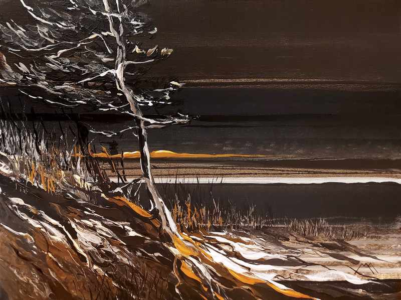 Marius Morkūnas tapytas paveikslas Naktinė Nemirseta, Peizažai , paveikslai internetu
