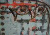 Jolita Česonytė tapytas paveikslas Gyvas daiktas II, Tapyba akrilu , paveikslai internetu