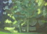 Vidmantas Jažauskas tapytas paveikslas Šešėliuotas tvenkinys, Tapyba aliejumi , paveikslai internetu