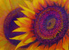 Sunflower original painting by Artūras Braziūnas. Oil painting