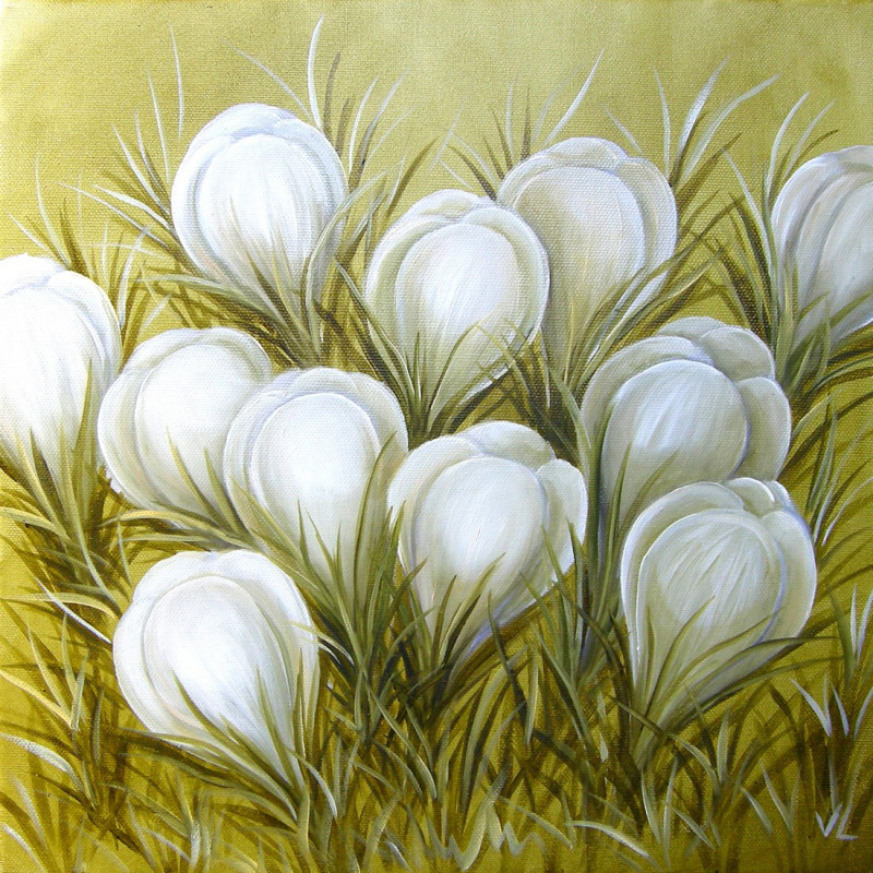 White Crocus original painting by Viktorija Labinaitė. Oil painting