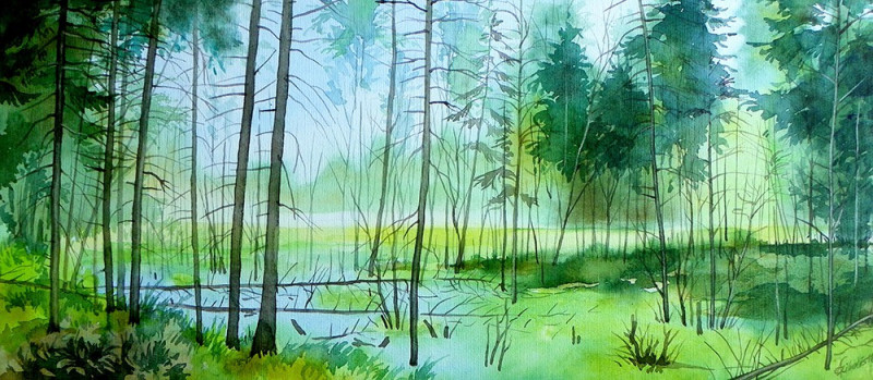Swamp original painting by Algirdas Zibalis. Oil painting