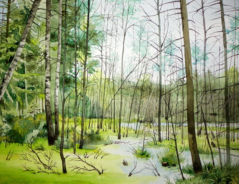Algirdas Zibalis tapytas paveikslas Pelkėtas upelis, Akvarelė , paveikslai internetu