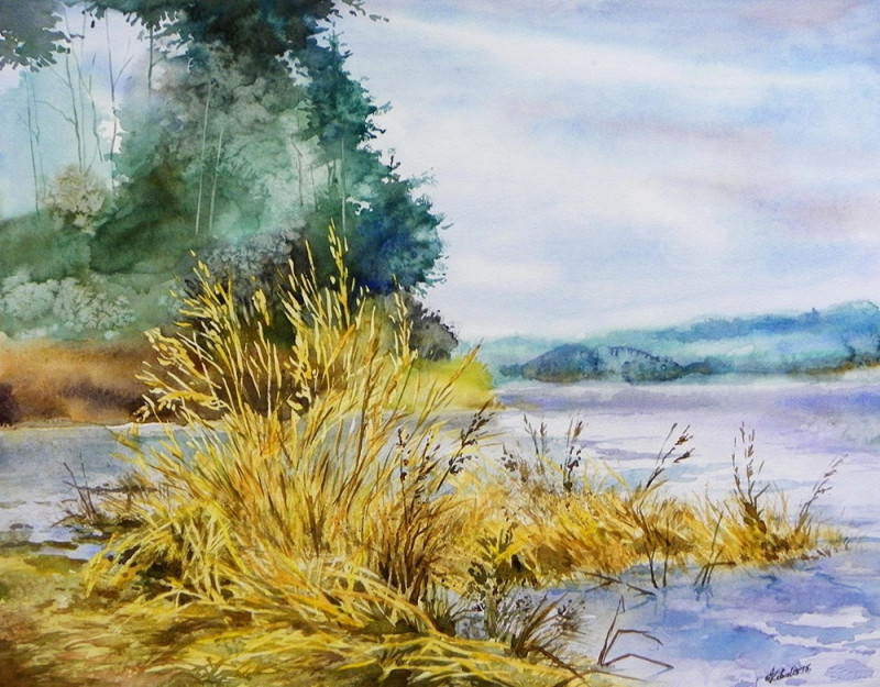 Old Reeds original painting by Algirdas Zibalis. Watercolor painting
