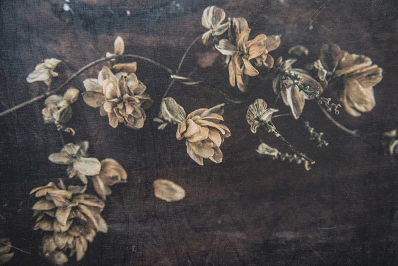 Monika Požerskytė tapytas paveikslas Life of still life nr.4, Gėlės , paveikslai internetu