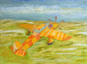 Flying Is Living original painting by Dalius Virbickas. Acrylic painting