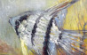 Sergejus Isakovas tapytas paveikslas Jūros dugnas, Animalistiniai paveikslai , paveikslai internetu