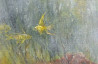 Sea Bottom original painting by Sergejus Isakovas. Animalistic Paintings