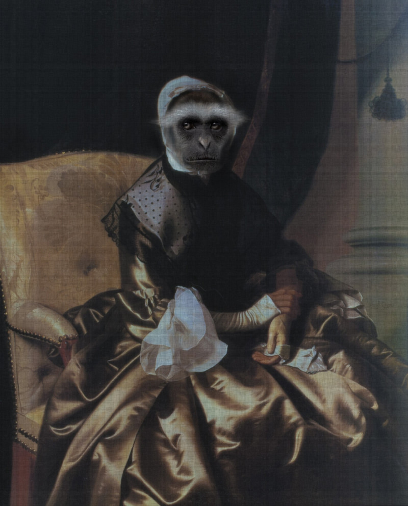 GetArtFactory tapytas paveikslas Ledi beždžionė, Fantastiniai paveikslai , paveikslai internetu