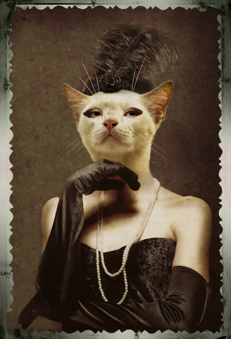 GetArtFactory tapytas paveikslas Retro katytė, Fantastiniai paveikslai , paveikslai internetu