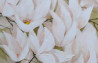 Danutė Virbickienė tapytas paveikslas Magnolijos žiedai II, Gėlės , paveikslai internetu