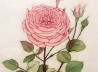 Gražvyda Andrijauskaitė tapytas paveikslas Rožė, Meno kolekcionieriams , paveikslai internetu