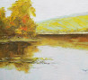 Rimantas Virbickas tapytas paveikslas Paežere, Peizažai , paveikslai internetu