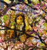 Dalia Čistovaitė tapytas paveikslas Mylintys, Išlaisvinta fantazija , paveikslai internetu