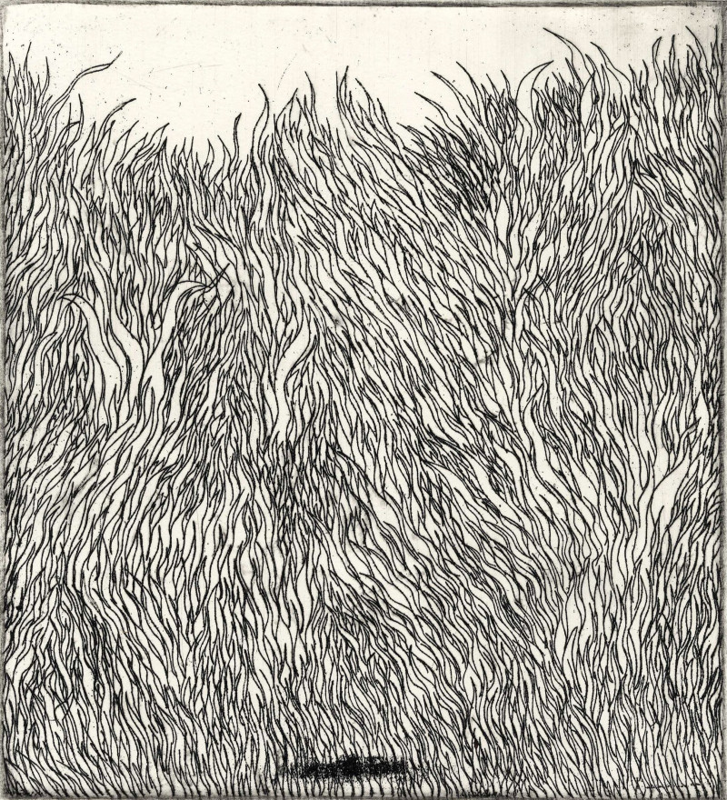 Lina Itagaki tapytas paveikslas Įkyriai auganti žolė, Žolynų kolekcija , paveikslai internetu