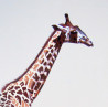 Andrej Cesiulevič tapytas paveikslas Žirafa / parama Ukrainai, Slava Ukraini , paveikslai internetu