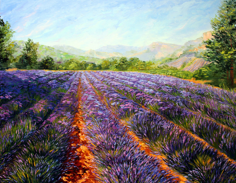 Levander fields. Luberon valley, Provence original painting by Rita Medvedevienė. Landscapes