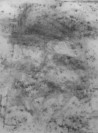 Algimantas Černiauskas tapytas paveikslas Piešinys angliuku nr. 12, Darbo kambariui , paveikslai internetu