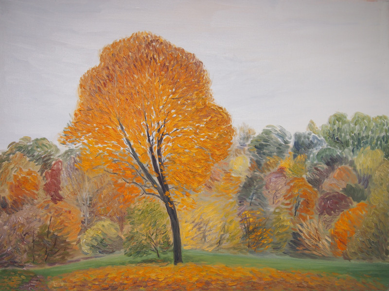 Maple By A Riverside original painting by Aida Kačinskaitė. Landscapes