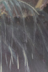 Viltė Gridasova tapytas paveikslas Gėlės mėnulio šviesoje, Gėlės , paveikslai internetu