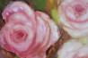 Fluttering Rose Blossoms original painting by Rasa Staskonytė. Flowers