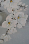 Danutė Virbickienė tapytas paveikslas Baltas grožis, Gėlės , paveikslai internetu