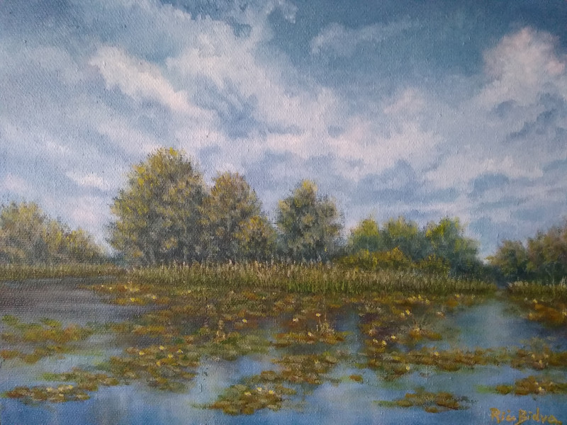 Ričardas Bidva tapytas paveikslas Apaugęs ežeras , Paveikslai su vasara , paveikslai internetu
