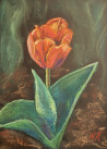 Natalija Ranceva tapytas paveikslas Tulpė, Miniatiūros - Maži darbai , paveikslai internetu