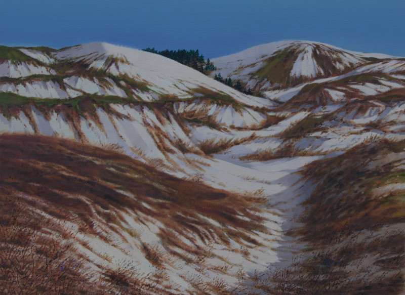 Sand in Nida original painting by Vidmantas Zarėka. Landscapes