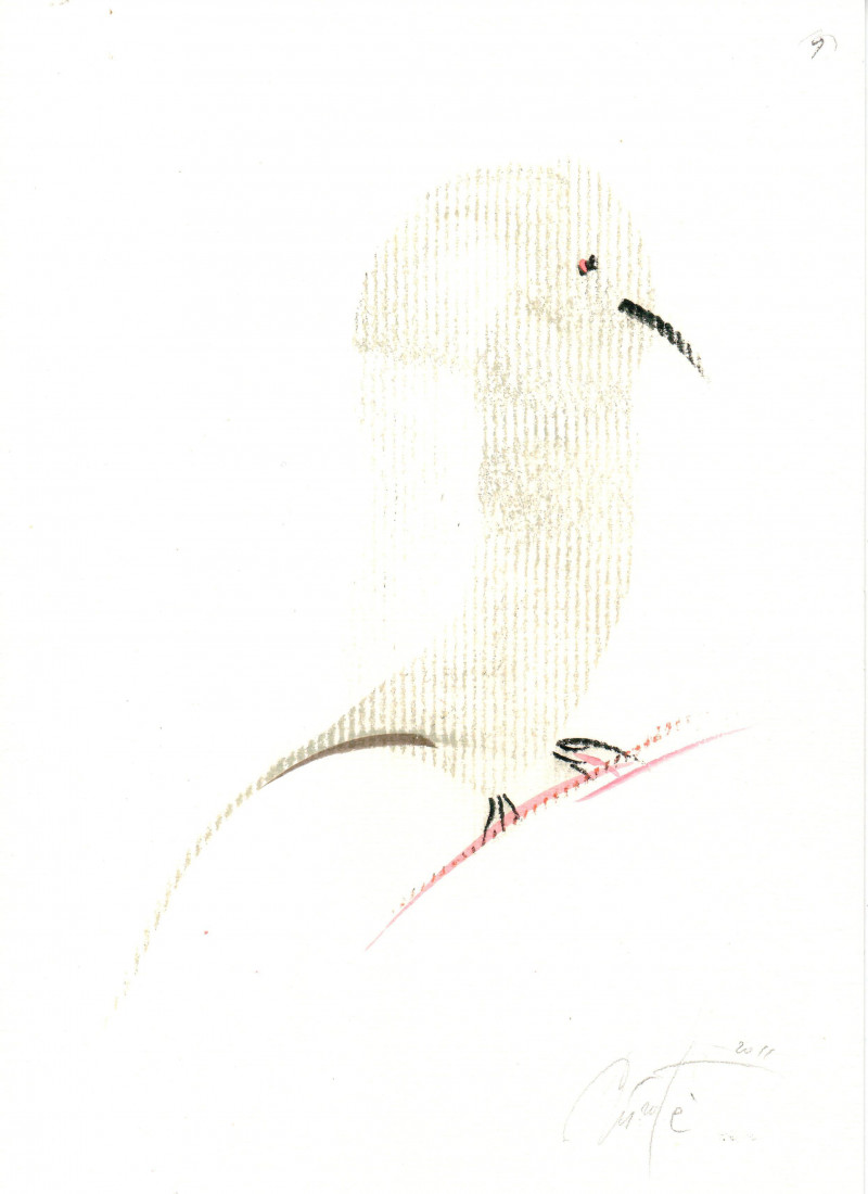Jūratė Stauskaitė tapytas paveikslas Papūgėlės 1, Meno kolekcionieriams , paveikslai internetu