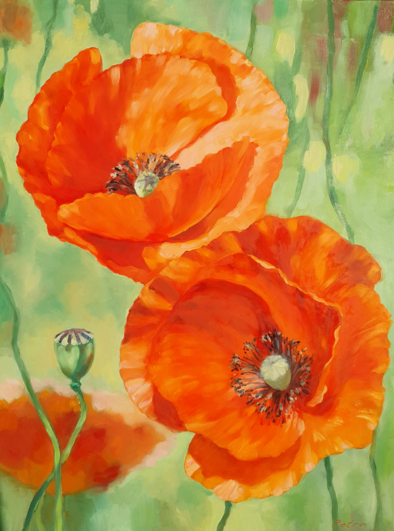 Poppies In The Sun original painting by Nadia Petraitienė. Talk Of Flowers