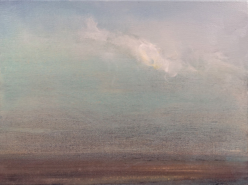 Saulė Želnytė tapytas paveikslas Skaidrėjantis. Pavasarinis, Ramybe dvelkiantys , paveikslai internetu