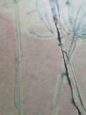Jūra Vaškevičiūtė tapytas paveikslas Flowers 101, Kaligrafija - Rytų tapyba , paveikslai internetu