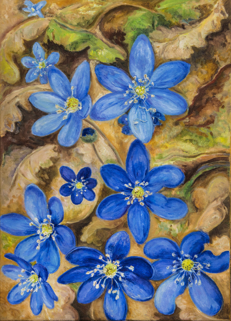 Aleksandra Šimkutė-Norbutienė tapytas paveikslas Pavasario nuotakos - žibuoklės, Gėlių kalba , paveikslai internetu