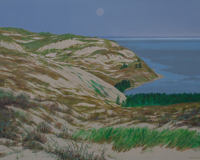 Moon Above Nida original painting by Vidmantas Zarėka. Picked landscapes
