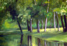 Jolanta Grigienė tapytas paveikslas Atspindžiai, Tapyba akrilu , paveikslai internetu