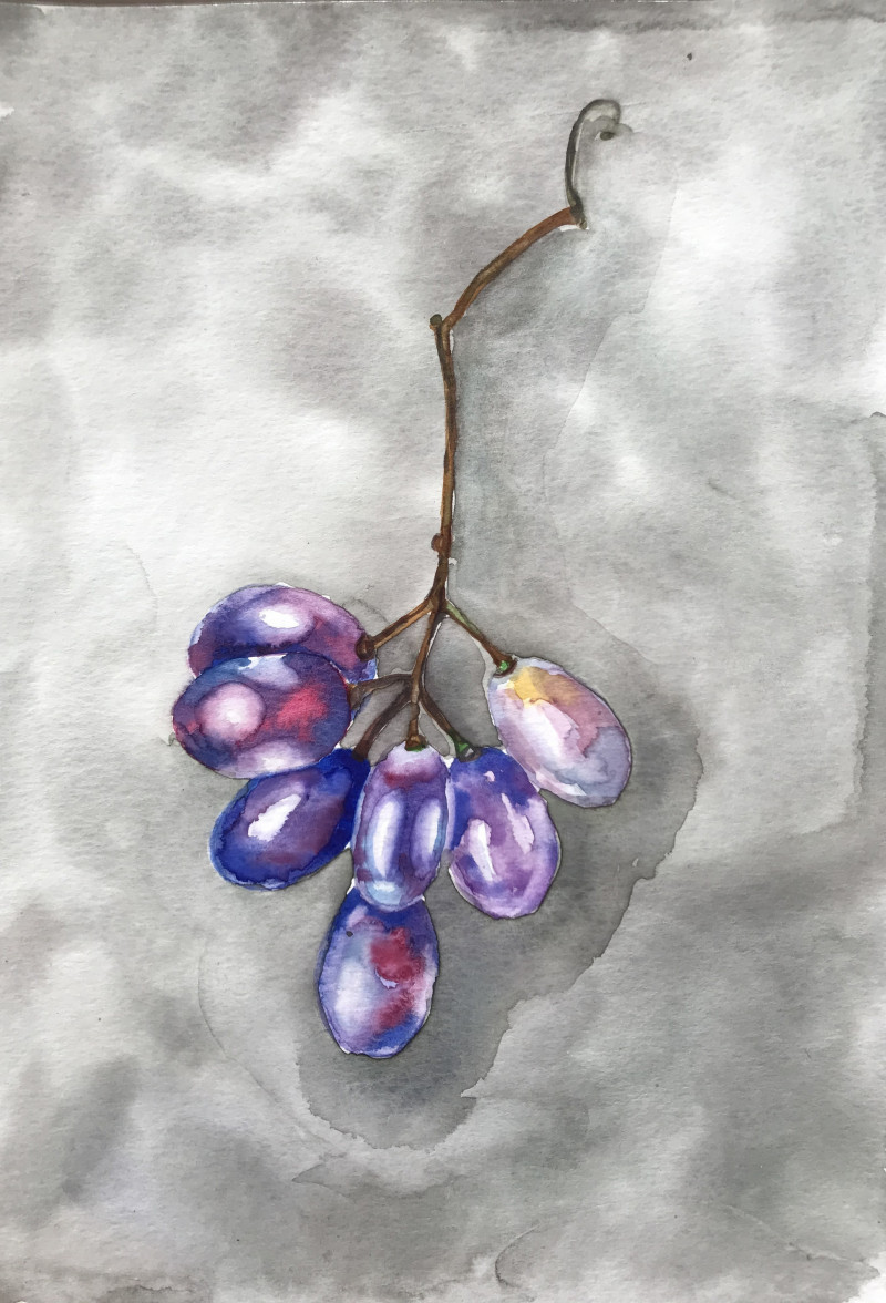 Ainura Batyrova tapytas paveikslas Vynuogių šakelė, Natiurmortas virtuvei , paveikslai internetu
