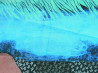 Arvydas Švirmickas tapytas paveikslas Naktyje, Kita technika , paveikslai internetu